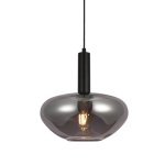 Axia Metal And Smoked Glass Pendant Light