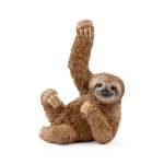 Wildlife - Sloth