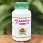 Magnesium Glycinate 120 Caps Willow