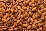 Almond Concentrate - 50ML