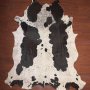 Aas Grade Nguni Hide 114 Black/white XXXL - Extra Extra Extra Large / Black/white / Spotted