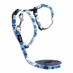 CAT Rogz Z 11MM Glow Reflective Lead & Harness Waggs Pet Shop