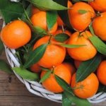 Orange Mandarin Concentrate - 50ML