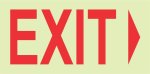 Photoluminescent 190MM Safety Sign -E5-ARROW Left+exit