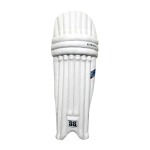 Ss Academy Adult Cricket Pads