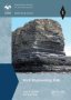 Rock Engineering Risk   Paperback