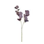 Burgundy Eucalyptus Stem - 72CM