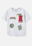 Cotton On License Drop Shoulder Short Sleeve Tee - Lcn Nic Snow Marle tmnt Raphael