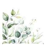 Serviette - Eucalyptus Branches 33X33CM