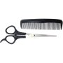 Clicks Essentials Barber Scissor Set With Comb