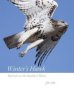 Winter&  39 S Hawk - Red-tails On The Southern Plains   Paperback
