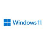 Windows 11 Professional Single-user DVD License