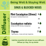 Blocked Nose Sinus - For Diffuser - Recipe Synergy - Being Well Collection