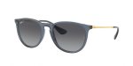 Ray Ban RB4171 Erika Polarized