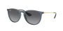 Ray Ban RB4171 Erika Polarized