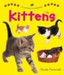 Say And Point Picture Boards - Kittens Board Book