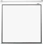 Parrot SC0387 - Electric Screen 3050X3050 View - 2950X2950 1:1 - Think Ink