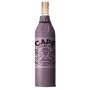 Cape Collective Ay* Ay* Ros*