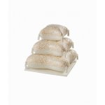 Pillow Cake Pan Set Of 3