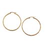 Gold Stainless Steel Hoops