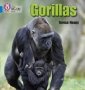 Gorillas - Band 04/BLUE   Paperback