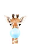 Bubble Gum Giraffe Blue - Canvas Print - 600MM X 600MM