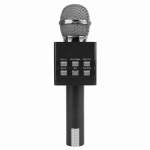 Wireless USB Audio Karaoke Microphone