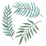 Palm Leaves - Reusable Peel And Stick