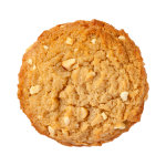 Sugar Cookie V2 Concentrate - 100ML