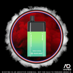 Blast 35MG Fresh Menthol Mojito & Fresh Mint Dual Flavour