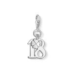 Charm Pendant Lucky Number 18