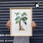 Framed Print - Philodendron Specimen Plant - A4 - Print Frame 30CM X 42CM