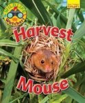 Wildlife Watchers: Harvest Mouse 2017 Paperback