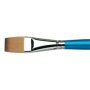 W&n Cotman Brush Series 666 One Stroke Flat 3/4 Inch Hair Width 19MM Hair Length 23MM Short Handle