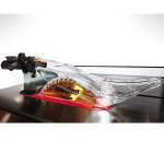 Sawstop Dust Collection Blade Guard Assembly