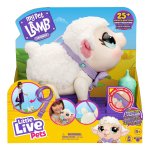 My Pet Lamb Snowie