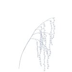 Spray With Crystal Beads 4X30X80CM