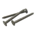 Ifasten Nail Clout 25MMX2.50MM 75G Pp Livestainable