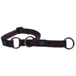 Rogz Pet Products Rogz Alpinist Extra Large 25MM Everest Web Half-check Dog Collar - Purple Rogz