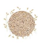Psyllium Seeds - 100G