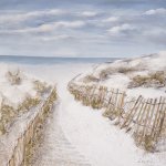 Sand Dunes Canvas