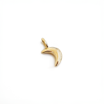 The Moon Charm In Yellow Gold