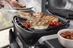 Weber Cast Iron Full Griddle Q1100N Q1200N 3400866