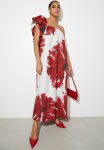 Statement Trapeze Maxi - Hand Drawn Red Macro Floral