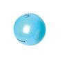 Reebok Gym Balls 75CM Promo