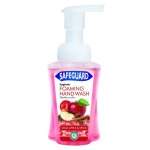 Foam Hand Wash 250ML Wild Apple And Spice