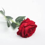 Rose Bud Red 50 Cm