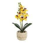 Yellow Orchid In Cement Pot 32CM
