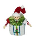 Elf In Box 21CM
