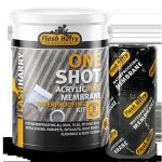 Flash Harry One Shot Kit 5L Blue